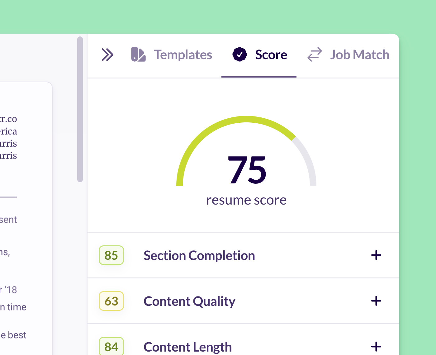 Get a detailed resume audit